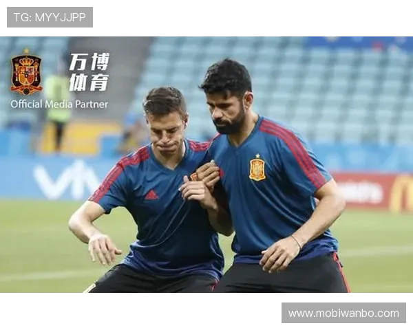 万博足球价格最新行情分析与购买指南