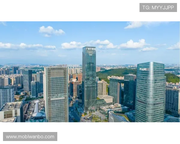 万州万博集团：引领区域经济发展的核心力量与未来发展战略