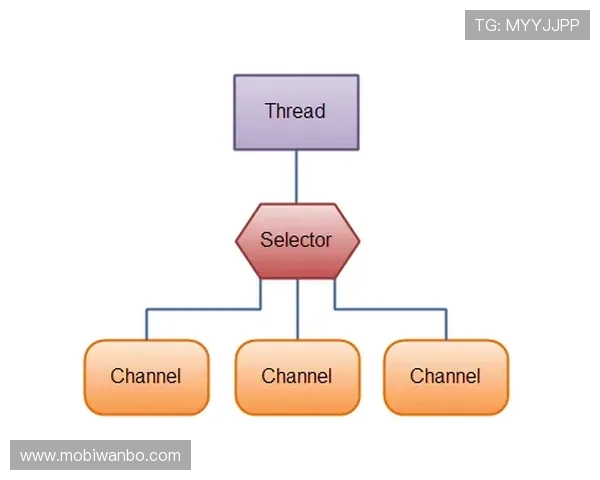万博maxbetx手机用户注册流程详解，新手快速上手指南